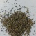 优质益母草颗粒，秸秆