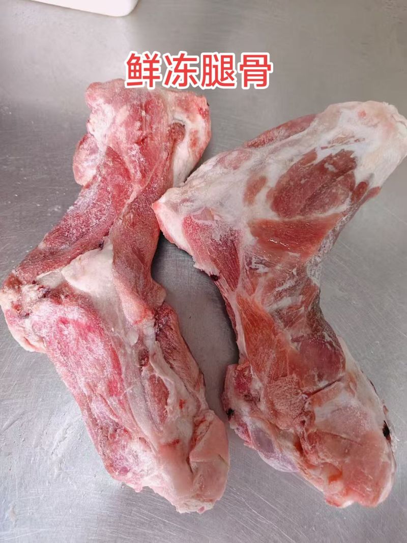 骨类冻品批发