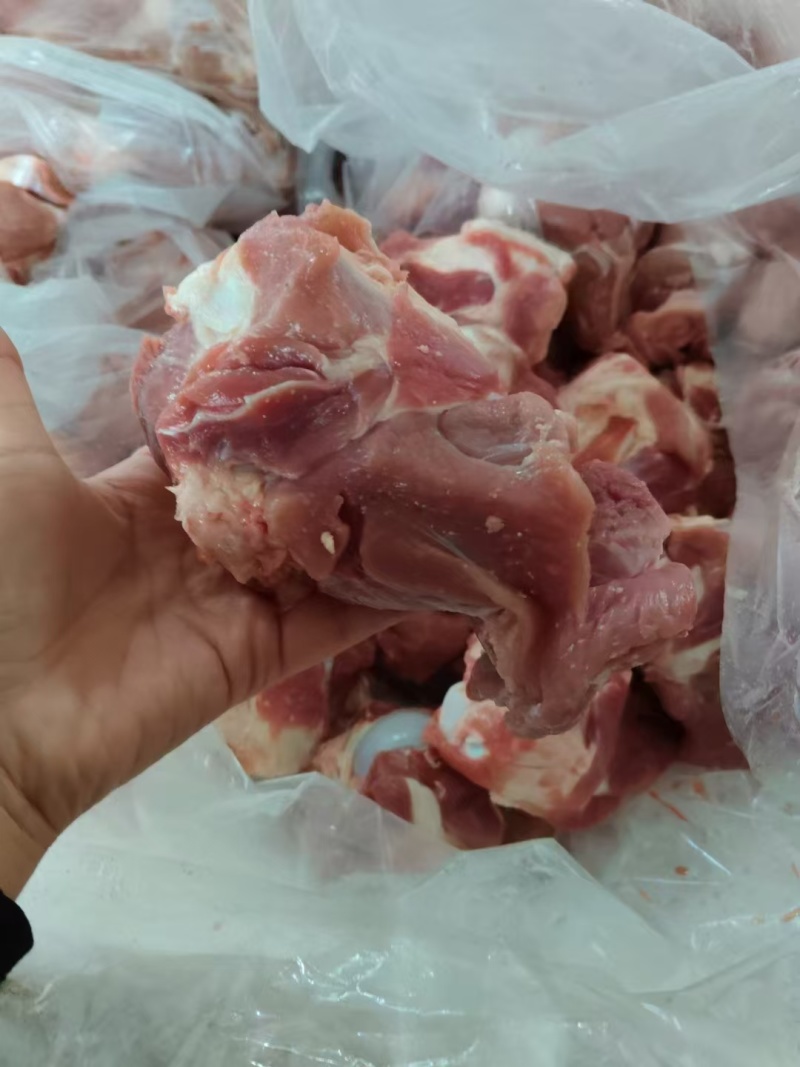 骨类冻品批发