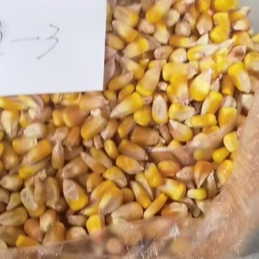 中储粮玉米200万吨，需提供四证三书，可直签