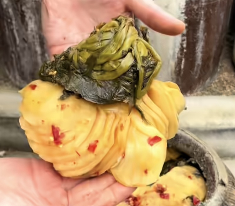坛腌大头菜，咸菜