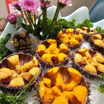精品马粪海胆，一手货源