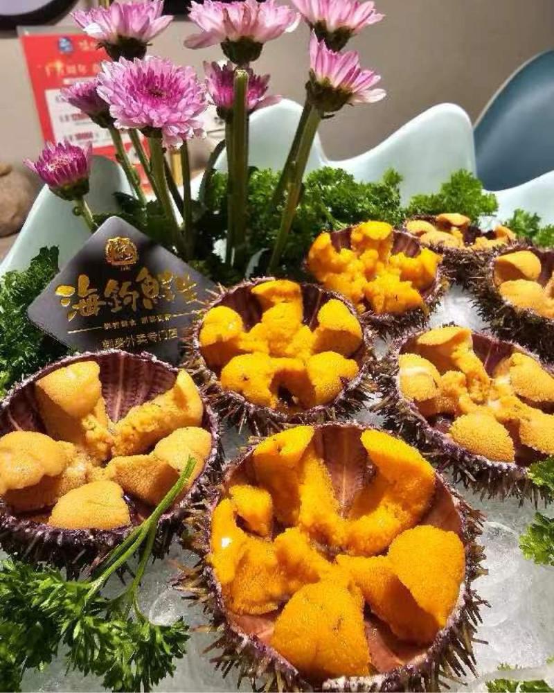 精品马粪海胆，一手货源