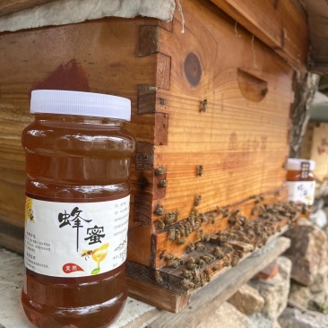 四川省阿坝州黑水县的正宗蜂蜜