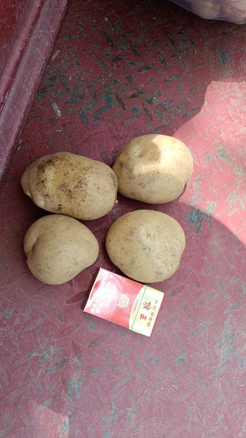 土豆