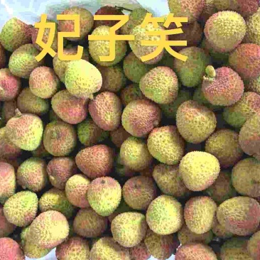 妃子笑荔枝