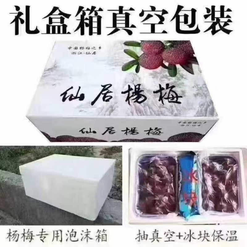 浙江省仙居杨梅