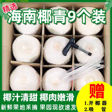 海南文昌椰青，产地直销