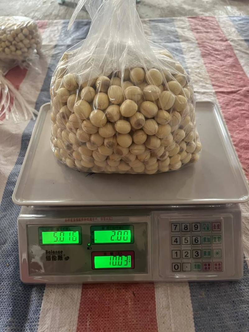 手工红莲