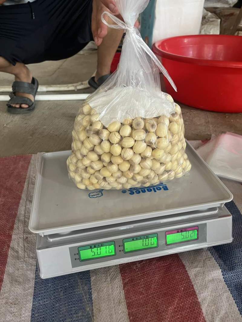 手工红莲