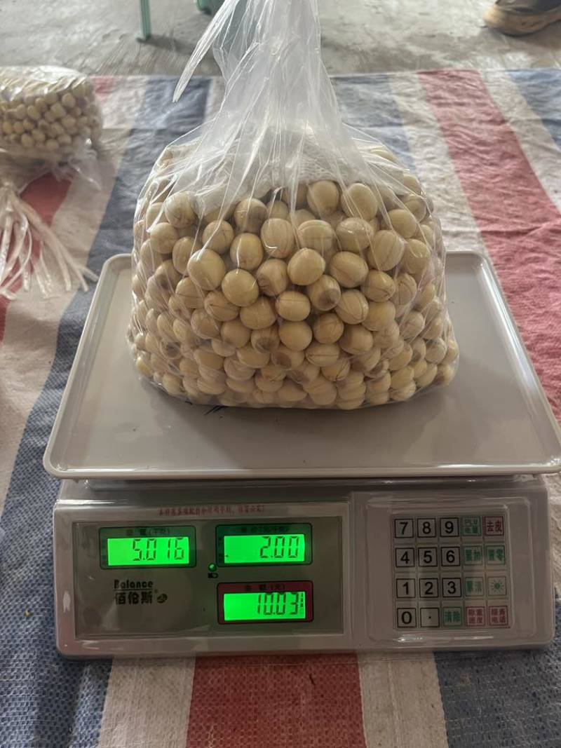 手工红莲