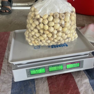 手工红莲
