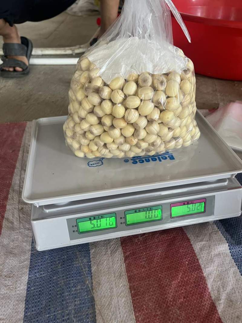 手工红莲