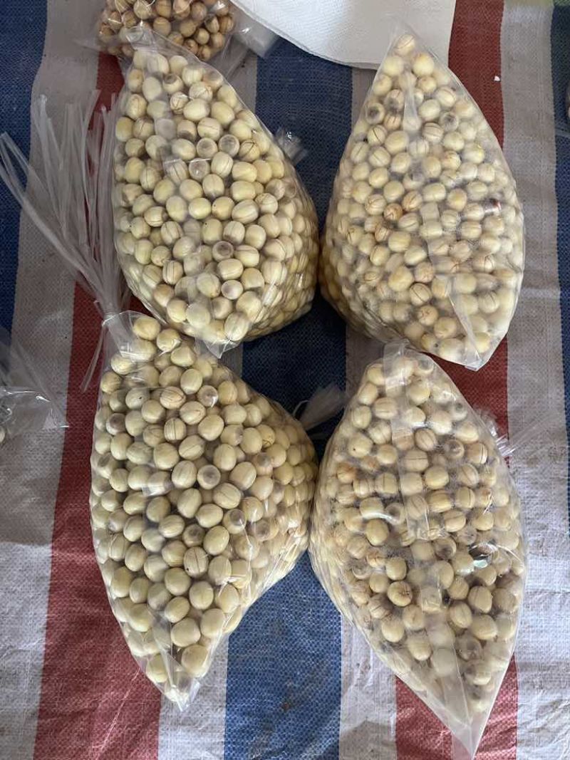 手工红莲