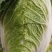 玉翠大白菜黄心菜
