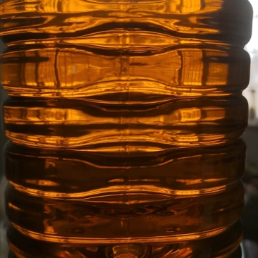 湖北江陵油菜籽出售