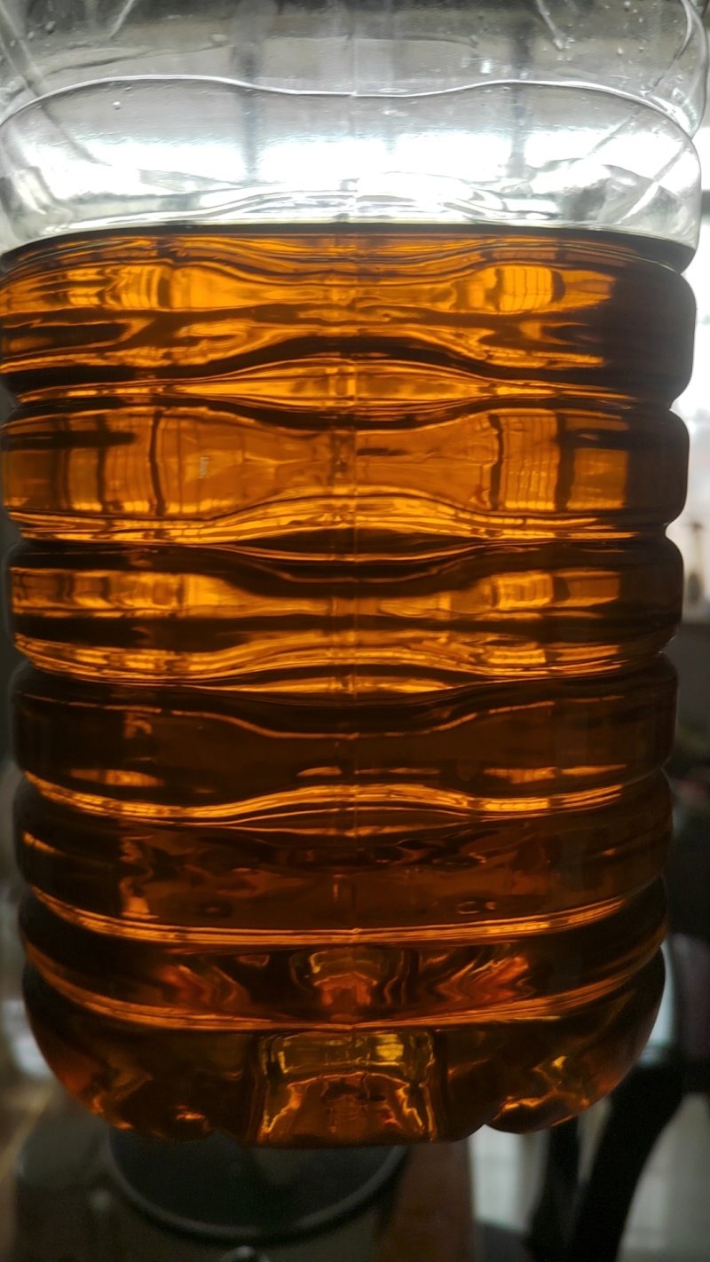 湖北江陵油菜籽出售