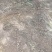 大量出售，松针腐殖土、黑土