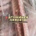 国产抄码6根装肥猪大排鲜白条分割新开