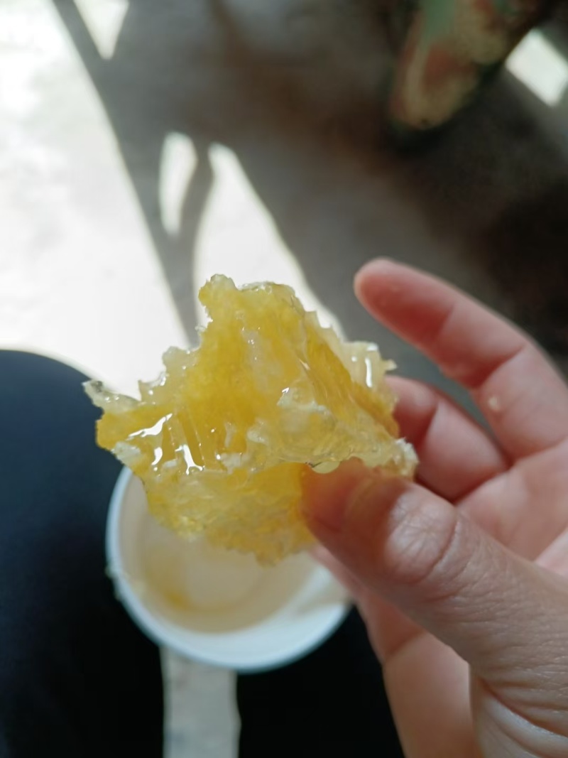 秦岭南坡土蜂蜜