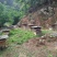 秦岭南坡土蜂蜜