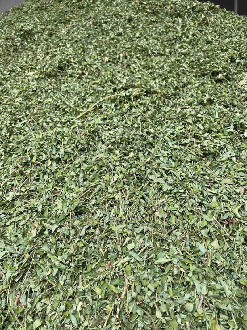 鸡骨草