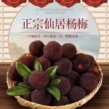 仙居杨梅