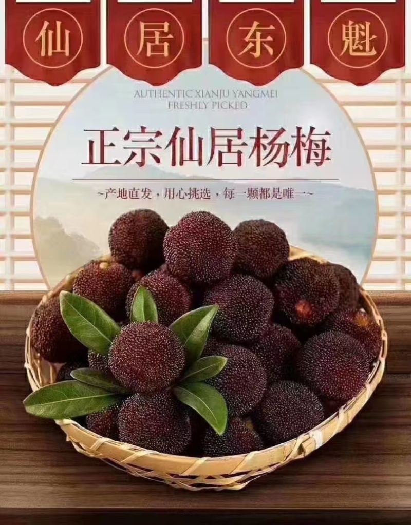 仙居杨梅