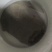 甲鱼
