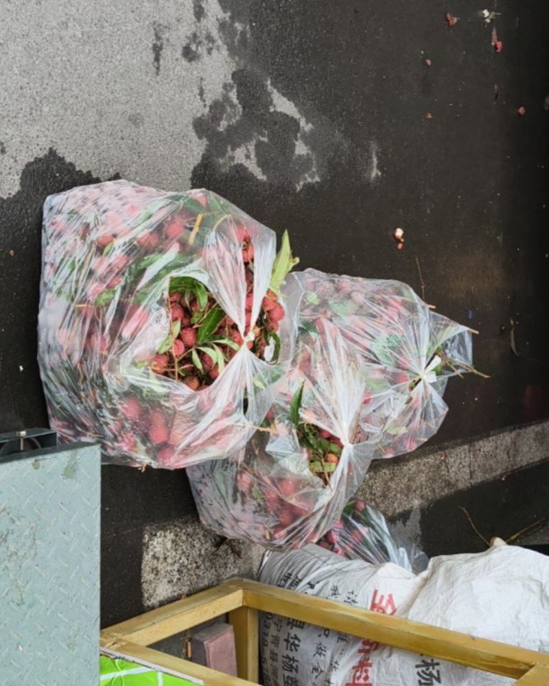 黑叶荔枝