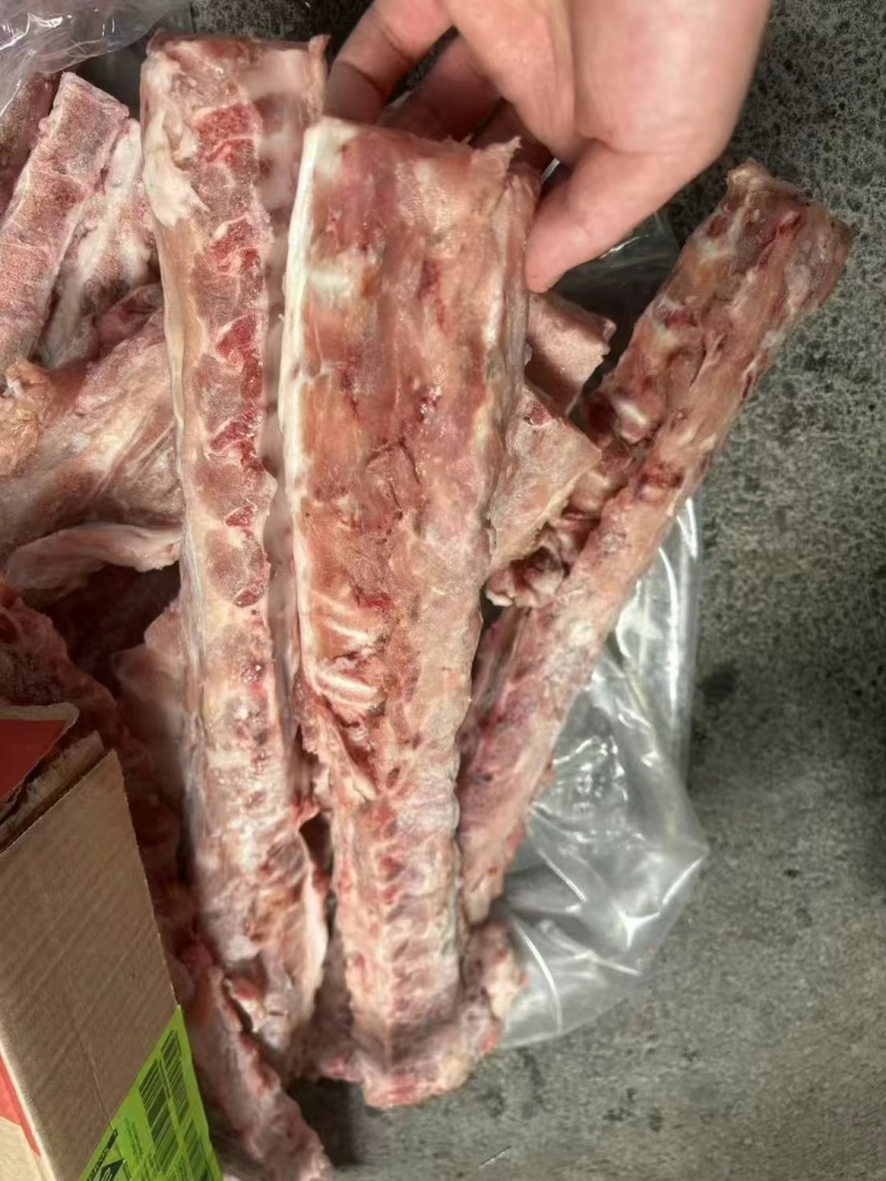 3237猪背骨