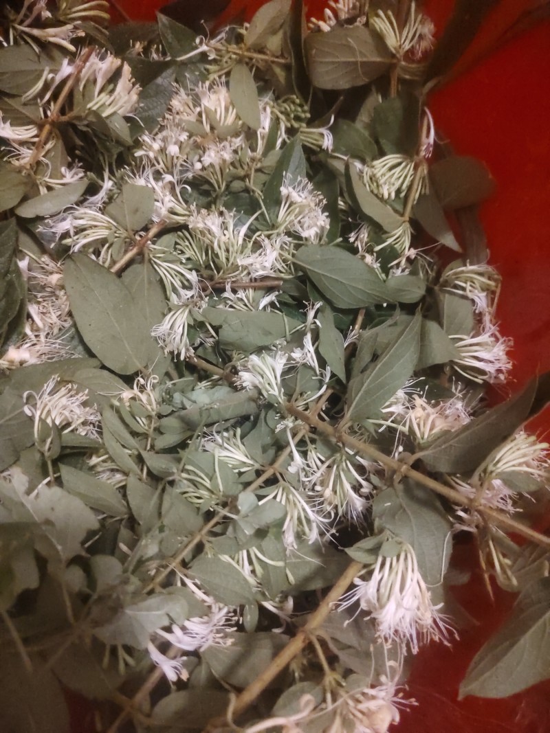 金银花