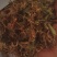 金银花