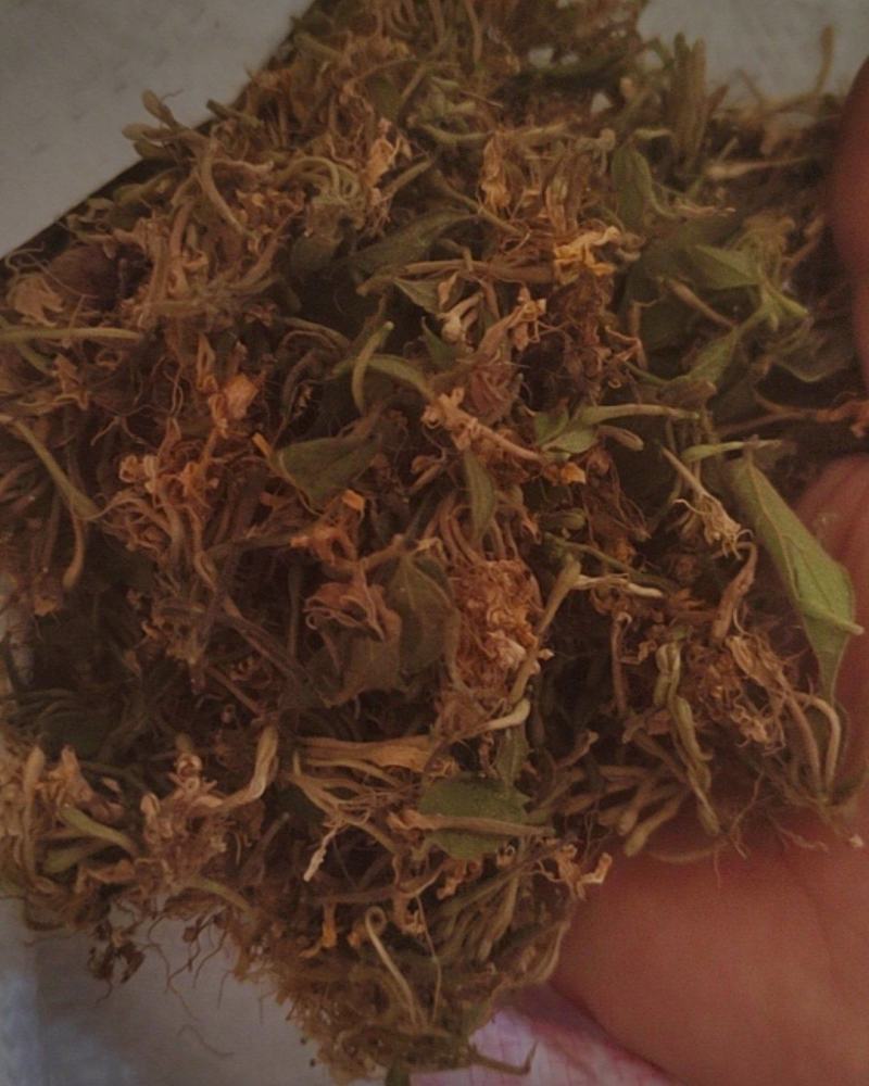 金银花