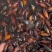山水牛昆虫