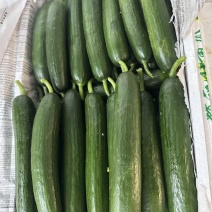 小青瓜