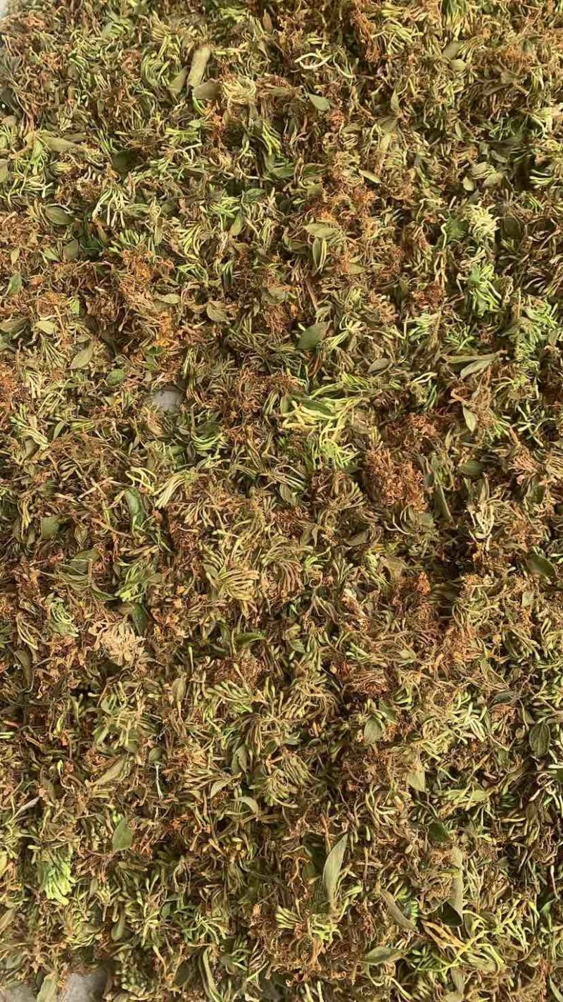 金银花