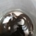 本地黄鳝