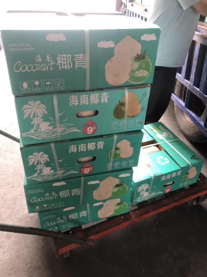 海南椰青