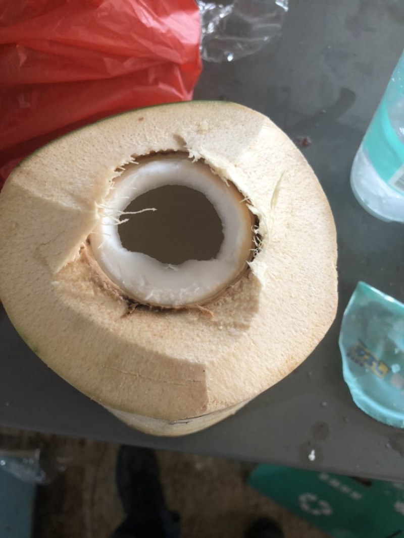 海南椰青