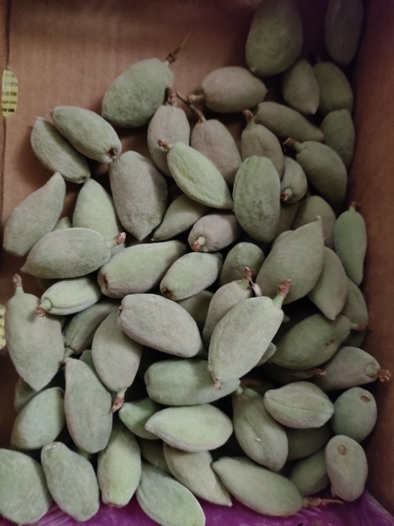 新鲜巴旦木
