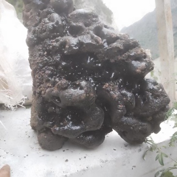 精品猴结