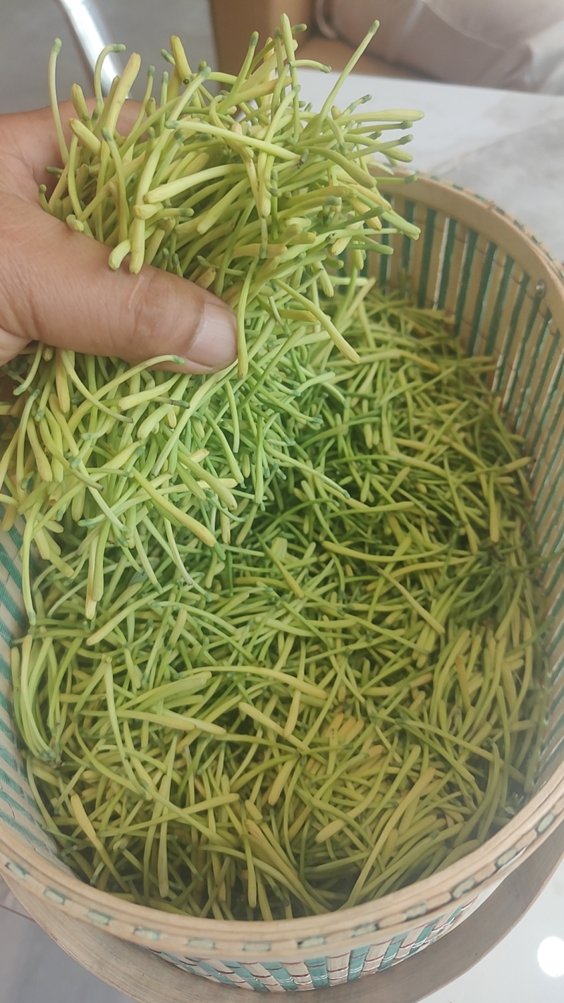老板我是侯焰，我有中药材金银花，流水线烘干机，无硫干花35元