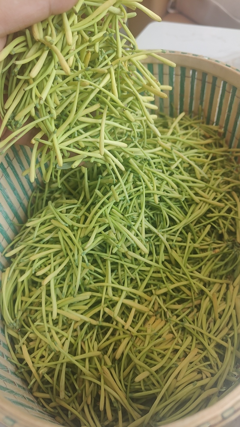 老板我是侯焰，我有中药材金银花，流水线烘干机，无硫干花35元