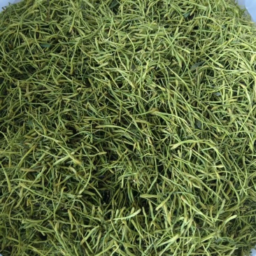 重庆秀山金银花