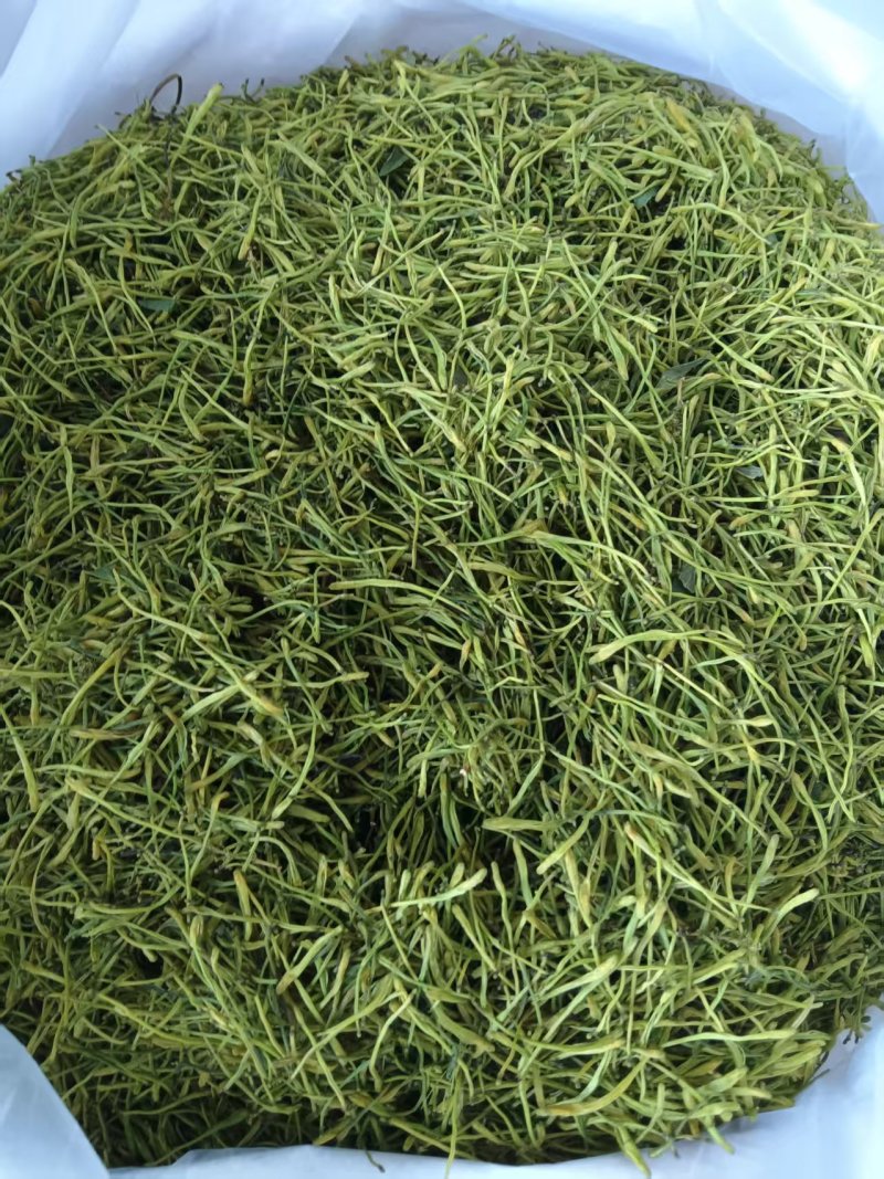 重庆秀山金银花