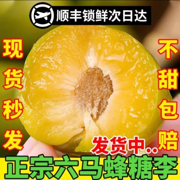 正宗六马蜂糖李全网一件代发。天猫京东抖音拼多多淘宝