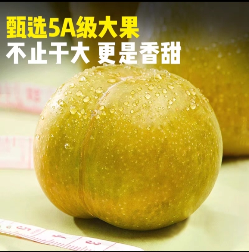正宗六马蜂糖李全网一件代发。天猫京东抖音拼多多淘宝