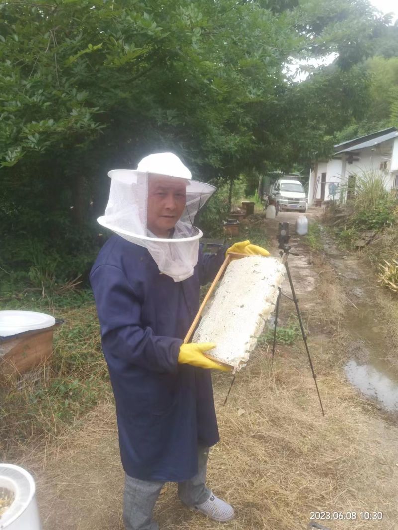 ******土蜂蜜