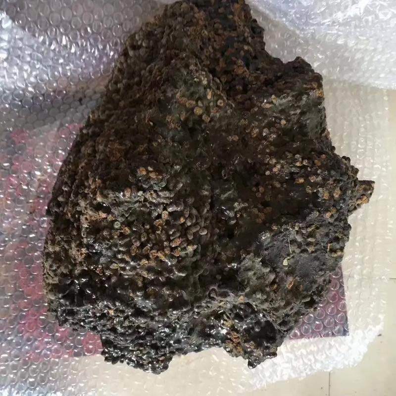 新疆哈密五灵脂